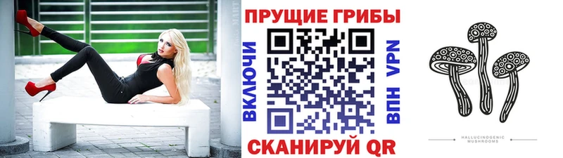 блэк спрут зеркало что такое наркотик Ершов Галлюциногенные грибы Psilocybe